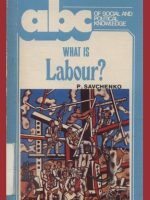 What Is Labour?