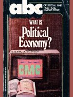 What Is Political Economy?