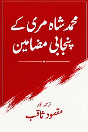 شاہ محمد مری کے منتخب مضامین کا پنجابی ترجمہ
